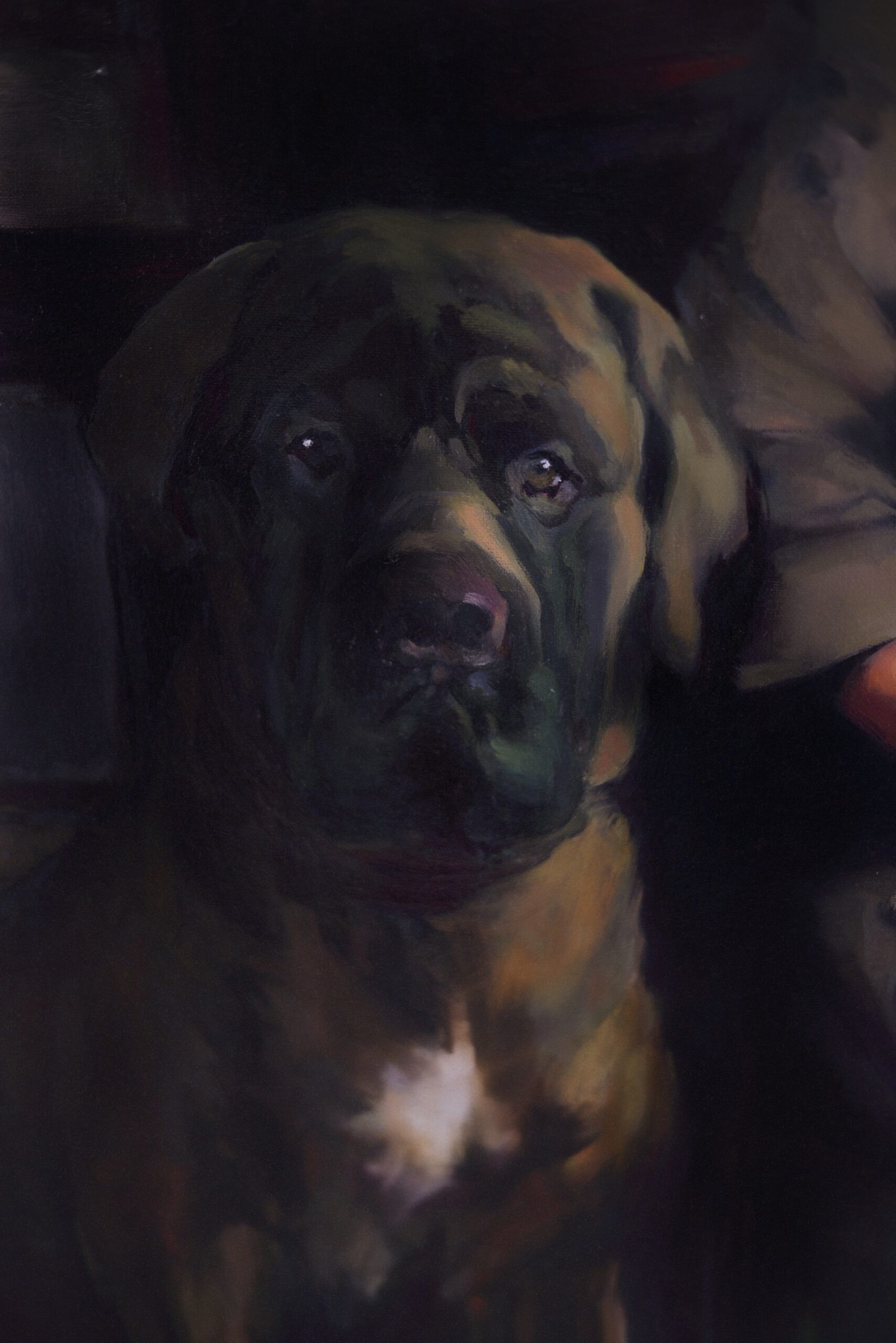Portrait of Dr. Elkhonon Goldberg